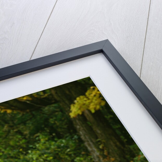 1932 Chrysler Imperial 8 by Unknown