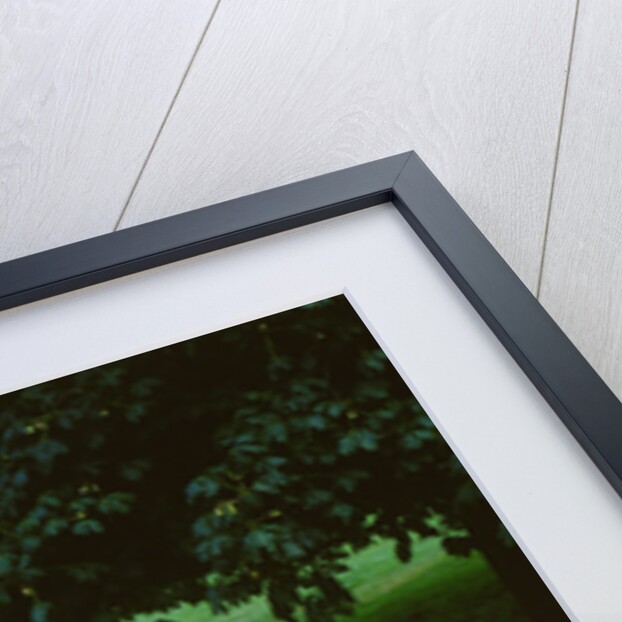 1950 Ferrari 166 Inter Ghia by Unknown