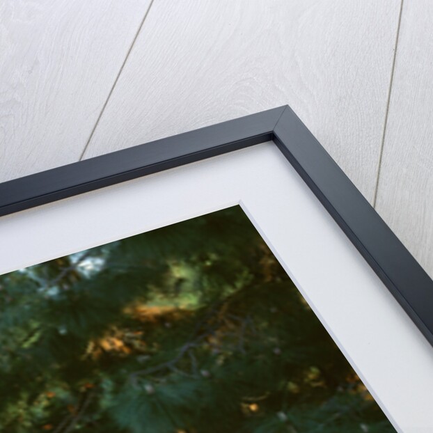 1970 Ford Mustang Twister by Unknown