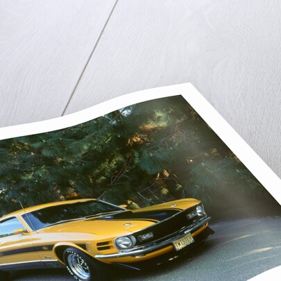 1970 Ford Mustang Twister by Unknown