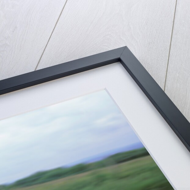 1999 Mazda MX5 by Unknown