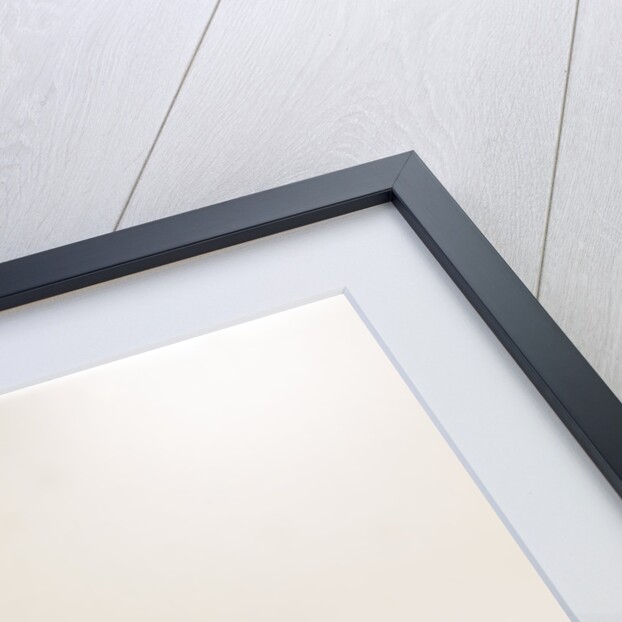 1973 Porsche 911 Carrera RS 2.7 by Unknown