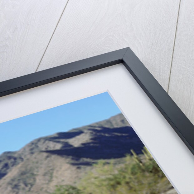 1957 Ford Skyliner Retractable by Unknown