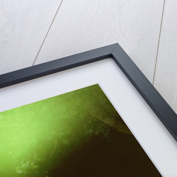 1988 Subaru 1.8 4WD Estate by Unknown