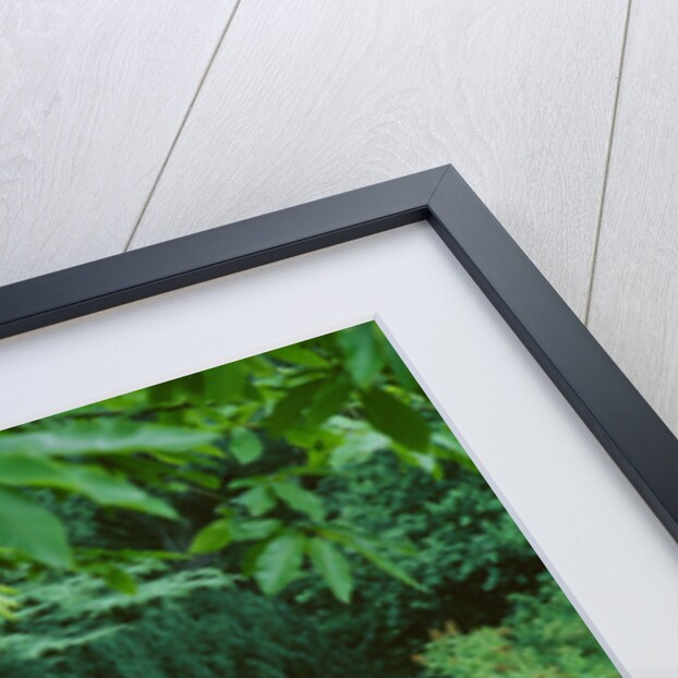 1961 Ford Zodiac by Unknown