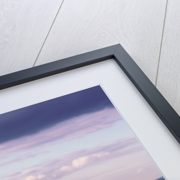 1957 Simca Aronde Pleinciel by Unknown