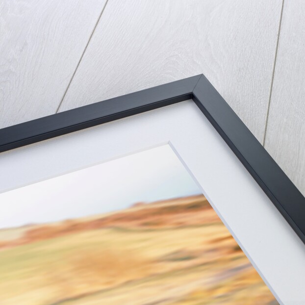 2002 Ford Mustang Bullitt by Unknown