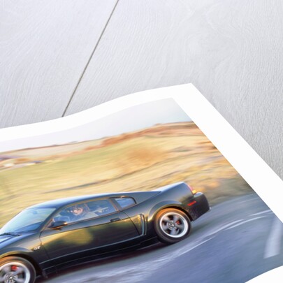 2002 Ford Mustang Bullitt by Unknown