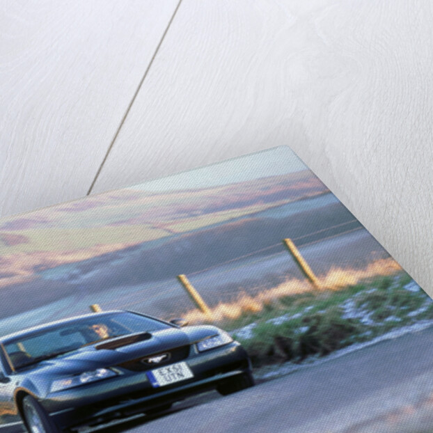 2002 Ford Mustang Bullitt by Unknown