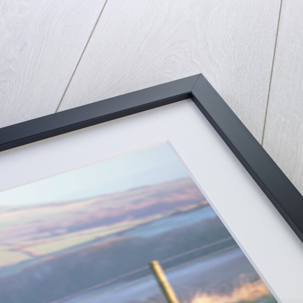 2002 Ford Mustang Bullitt by Unknown