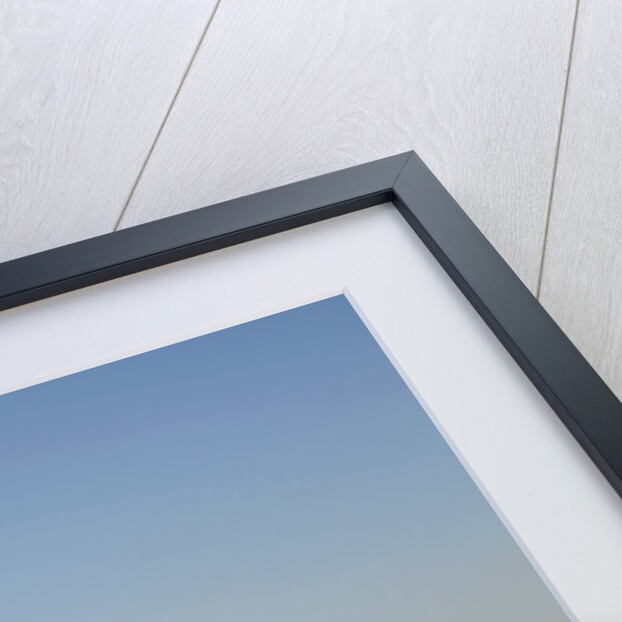 2003 Ford Thunderbird convertible by Unknown