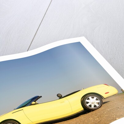 2003 Ford Thunderbird convertible by Unknown