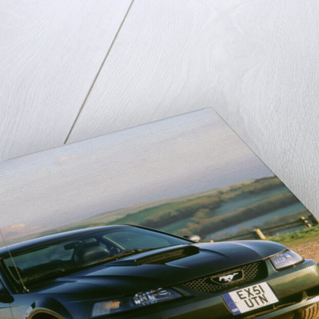 2002 Ford Mustang Bullitt by Unknown