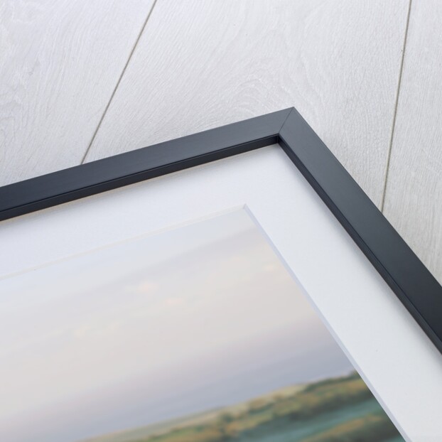 2002 Ford Mustang Bullitt by Unknown