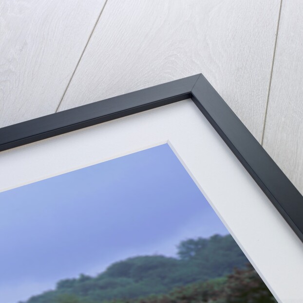 2002 Citroen C5 hdi towing a caravan by Unknown