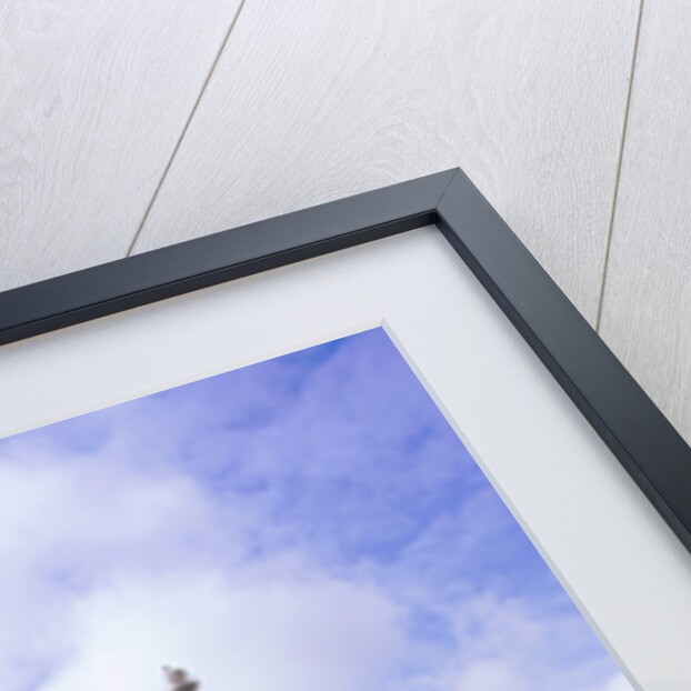 2001 Rover 75 1.8 by Unknown