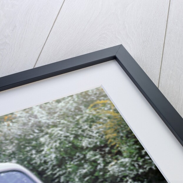 1949 Ford Anglia by Unknown