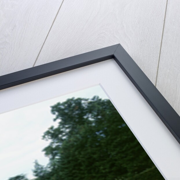 1985 Ferrari 288 GTO by Unknown