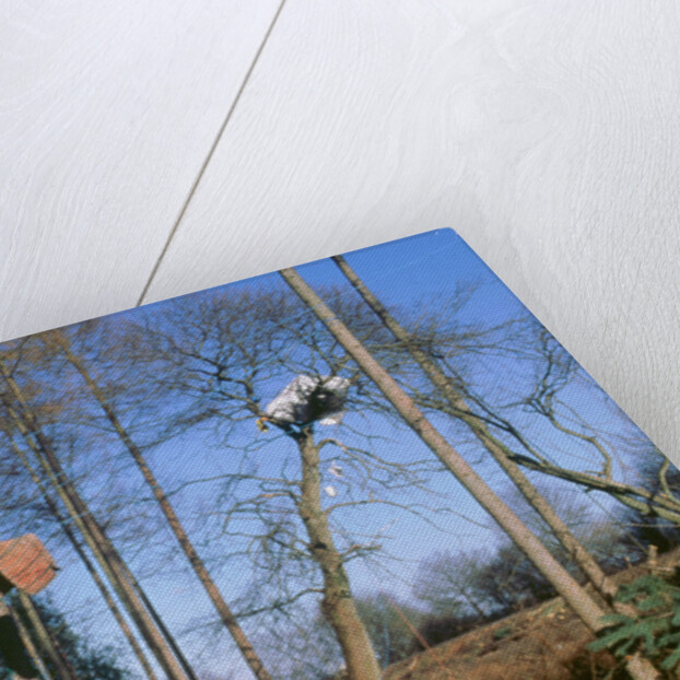 Newbury ByPass constuction protestors by Unknown