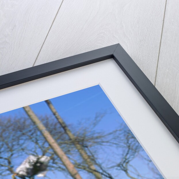 Newbury ByPass constuction protestors by Unknown