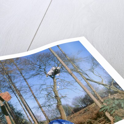 Newbury ByPass constuction protestors by Unknown