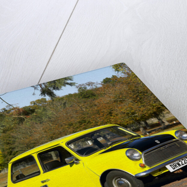 Mr.Bean's Mini from the tv programme of the same name by Unknown