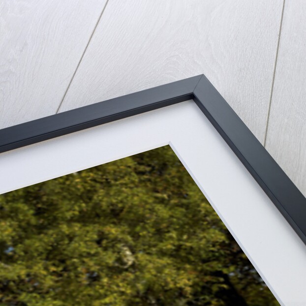 Mr.Bean's Mini from the tv programme of the same name by Unknown