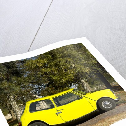 Mr.Bean's Mini from the tv programme of the same name by Unknown