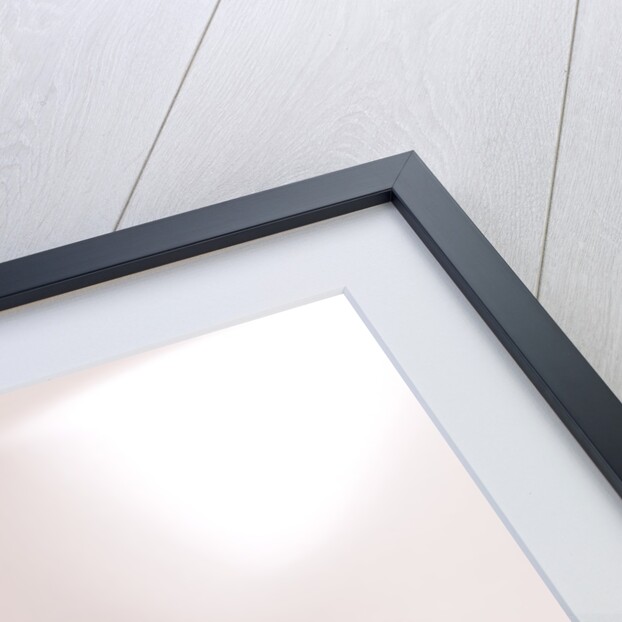 1972 Porsche 911 T by Unknown