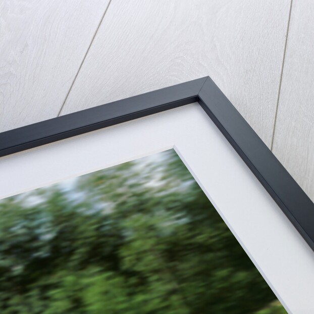 1995 Toyota Landcruiser towing large caravan at speed by Unknown