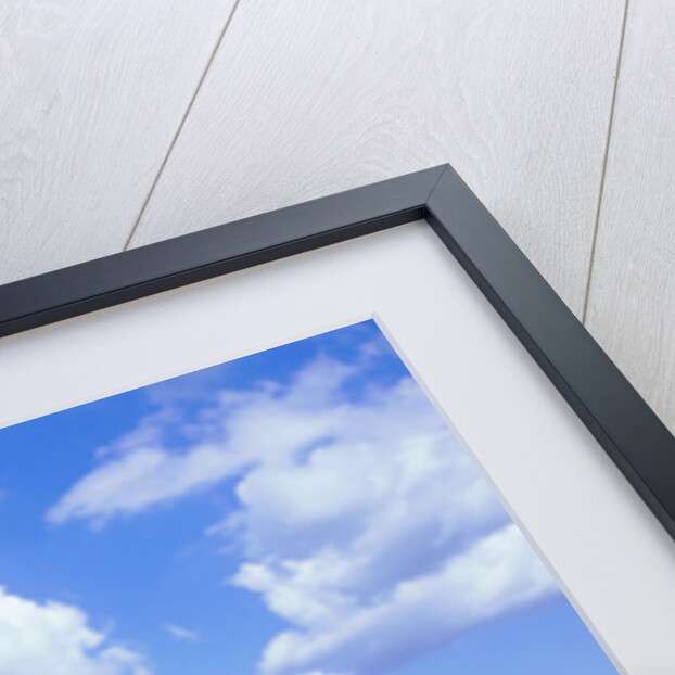 Petrol Station at Rownhams Services on M27 Motorway by Unknown