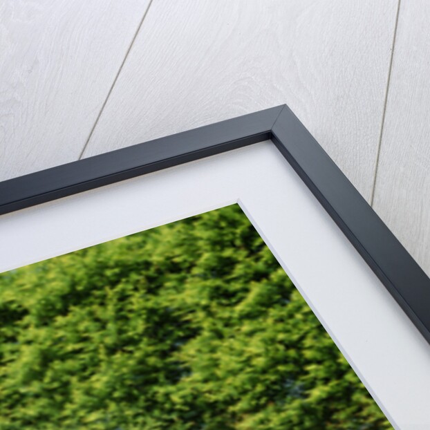 1938 Delahaye 135, Figoni and Falaschi coachwork by Unknown