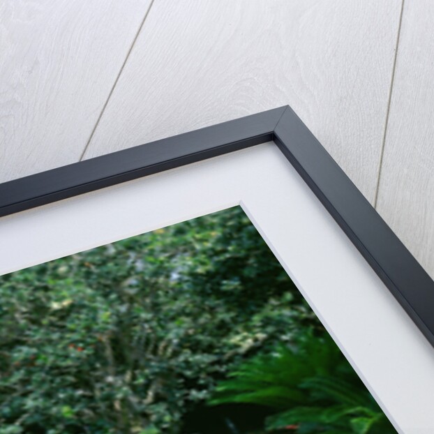 1969 Plymouth customised sedan by Unknown