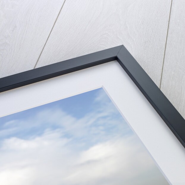 1978 Volkswagen Beetle Cabriolet by Unknown