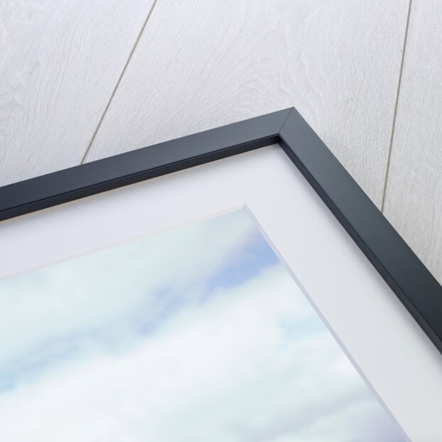 2002 Lotus Elise by Unknown