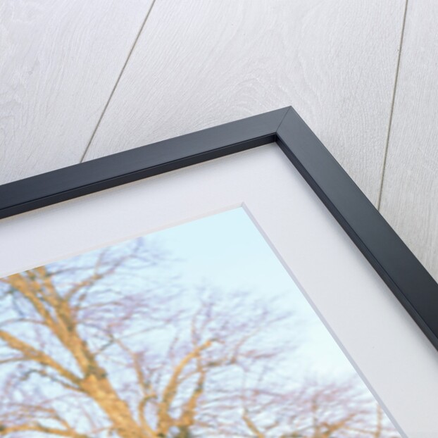 1973 BMW 3.0 csl by Unknown