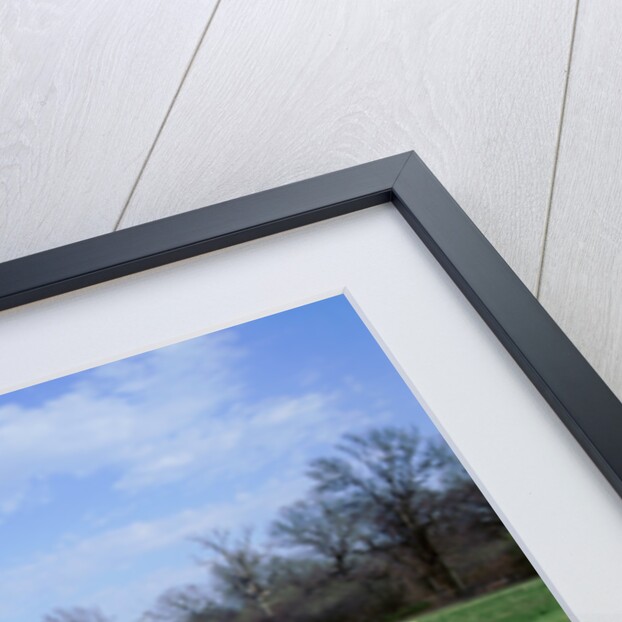 1970 Plymouth Superbird with 1968 Dodge Daytona by Unknown