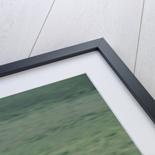 2002 Lotus Elise by Unknown