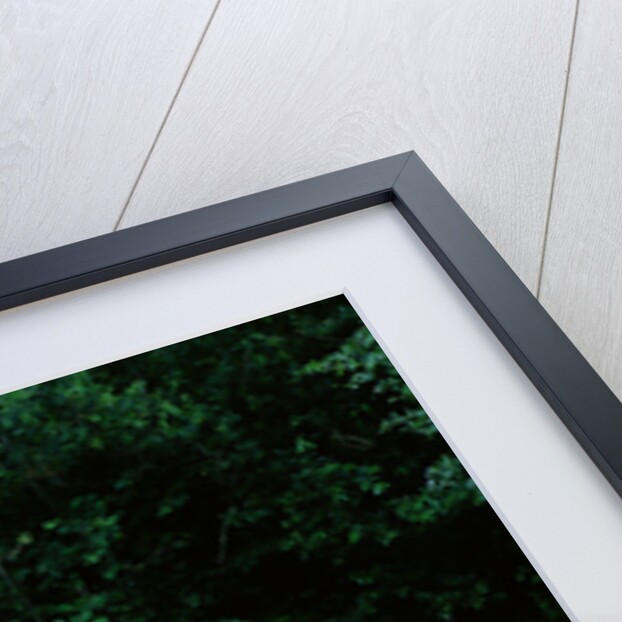 1974 Ferrari Dino 246 GTS by Unknown