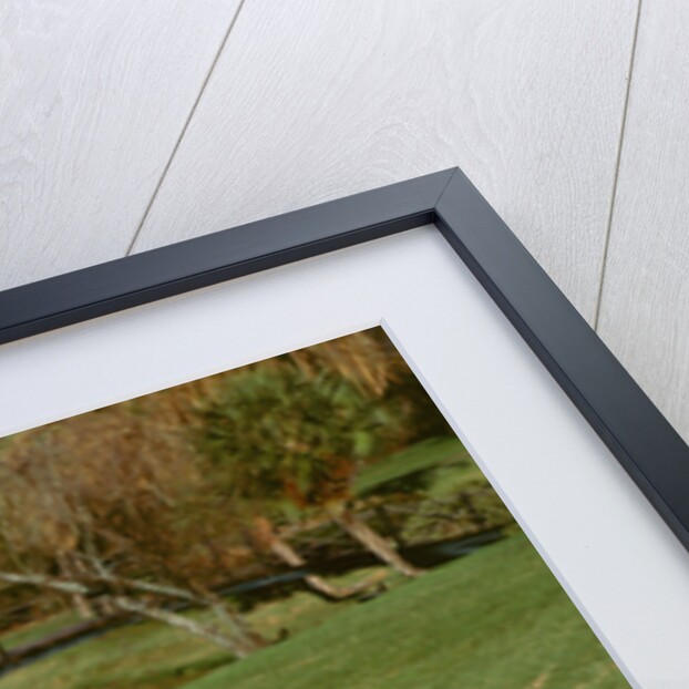 1953 Chevrolet Corvette by Unknown