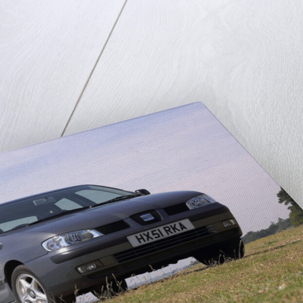 2001 Seat Ibiza by Unknown