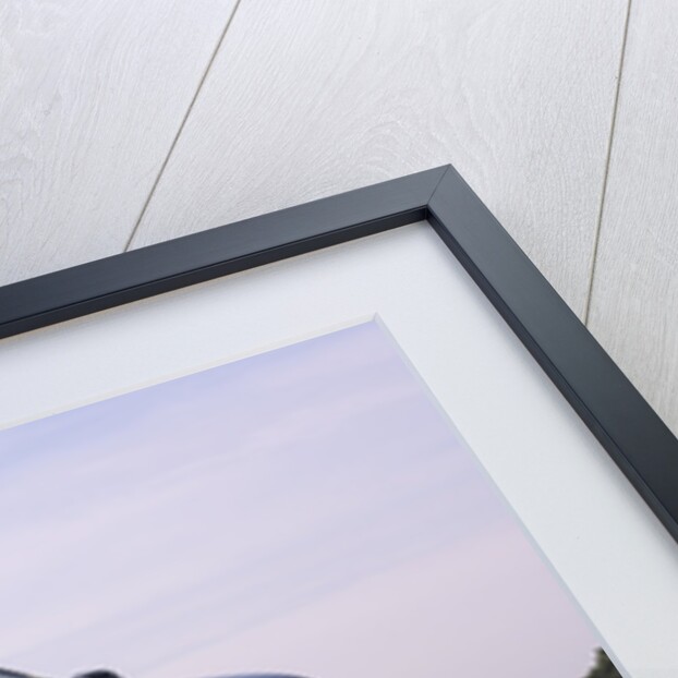 2001 Seat Ibiza by Unknown