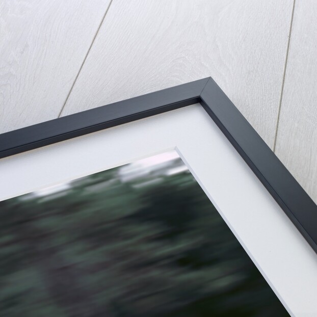 2001 BMW X5 4.4i by Unknown