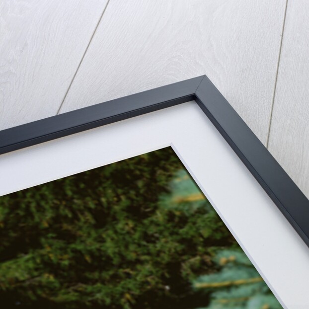 1955 Ford Ranch wagon by Unknown