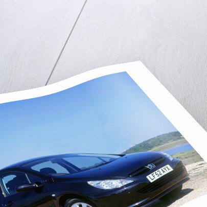 2002 Peugeot 307 by Unknown