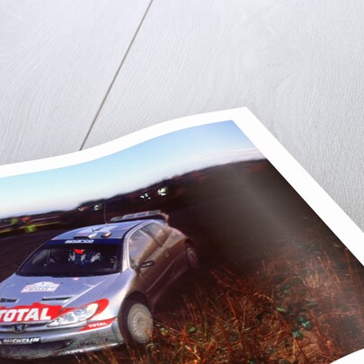 2002 Peugeot 206 WRC, Richard Burns, Network Q Rally by Unknown