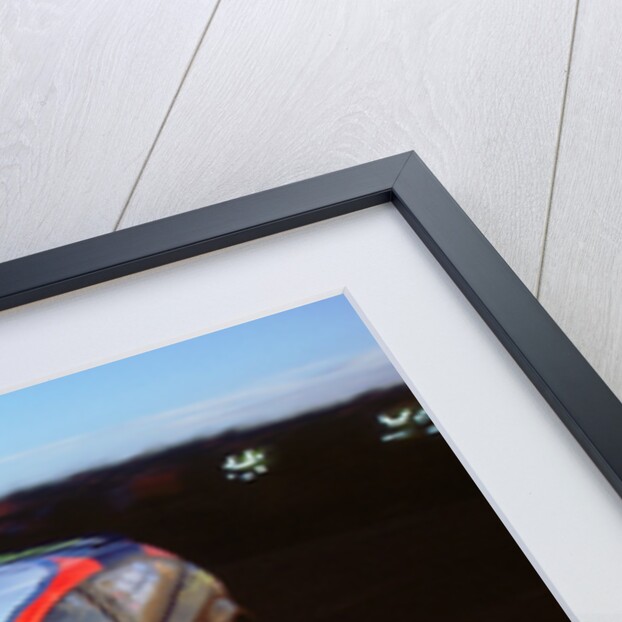 2002 Ford Focus RS WRC, Colin McRae.Network Q Rally by Unknown