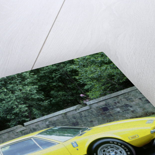 1974 De Tomaso Pantera GP4 by Unknown