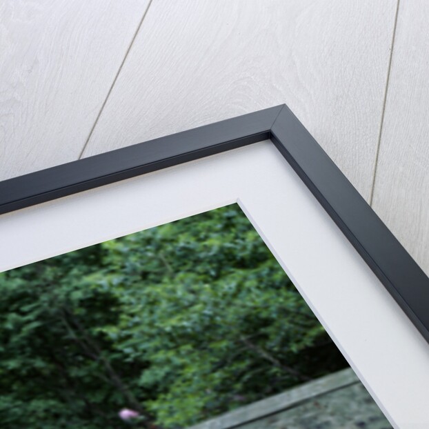 1974 De Tomaso Pantera GP4 by Unknown