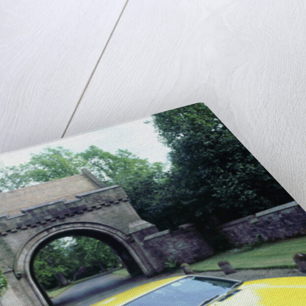 1974 De Tomaso Pantera GP4 by Unknown